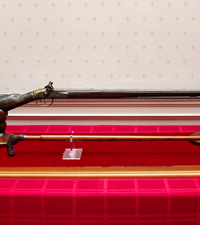 ایک ایئر گن